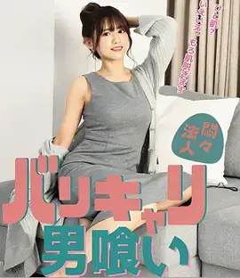 南方来客